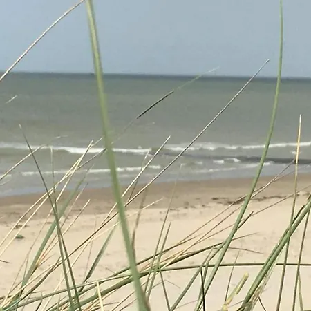 Stacaravan 4pers In Met Eigen Tuintje 2449 펜션 *