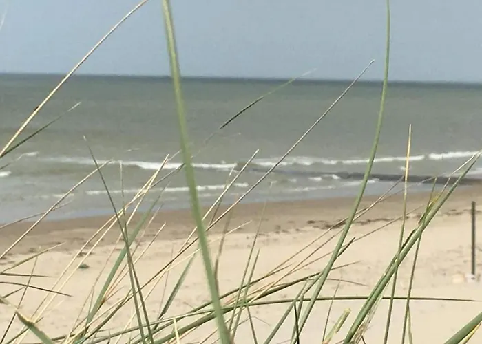 Stacaravan 4pers In Met Eigen Tuintje 2449 Hébergement de vacances *