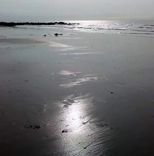 Hébergement de vacances Stacaravan 4pers In Met Eigen Tuintje 2449